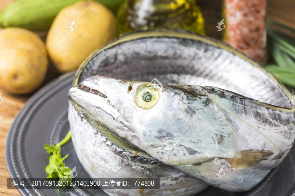 帶魚