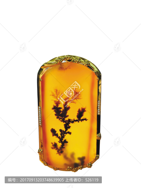 黃龍玉,水草花