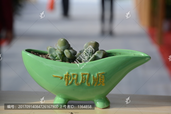 一帆風(fēng)順