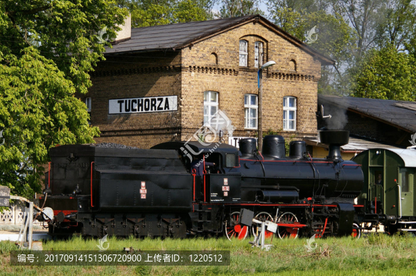 波蘭，TR,12，蒸汽機(jī)車，沃爾什丁，tuchorza