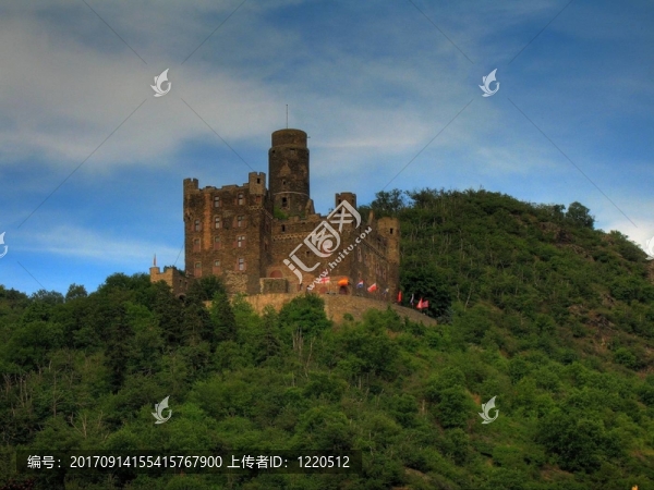Burg,Maus