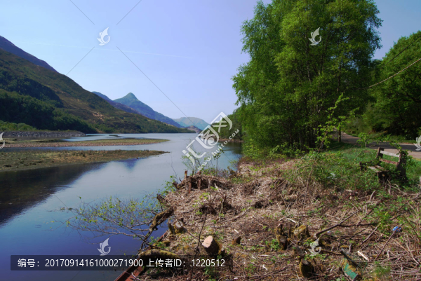 山