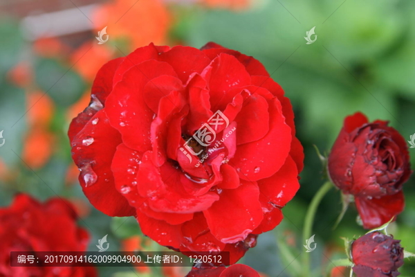 花