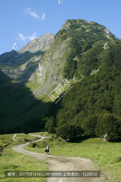 山
