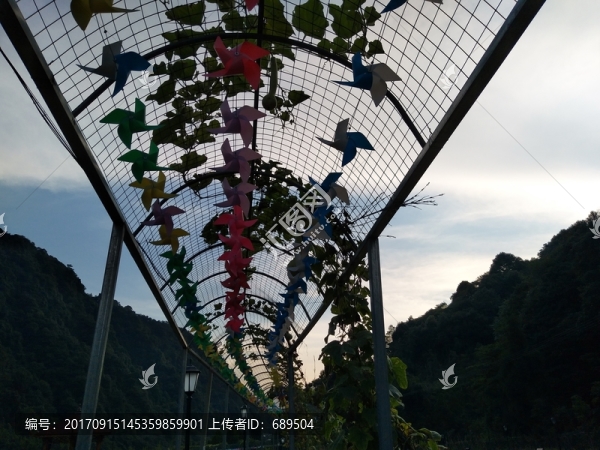 花卉
