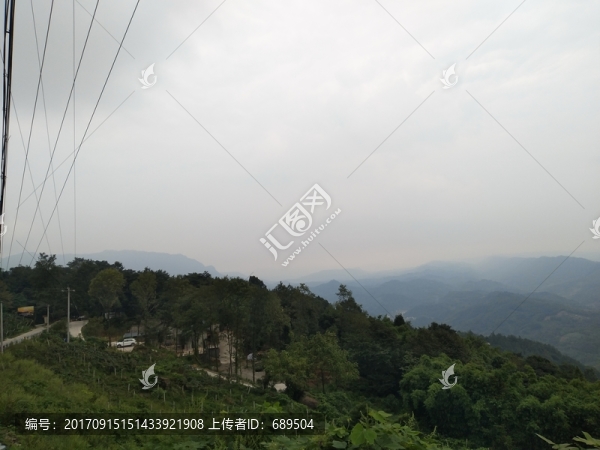 高山森林