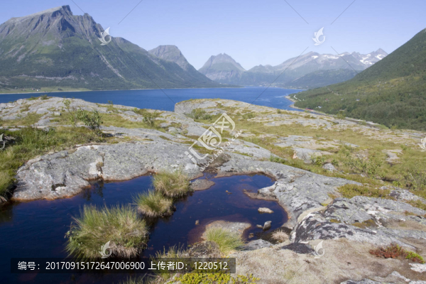 山