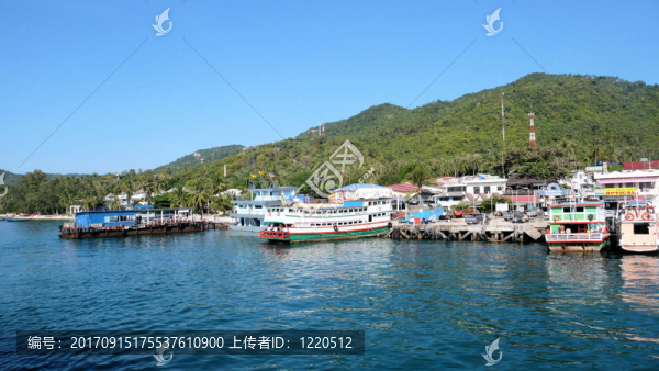 濤島港
