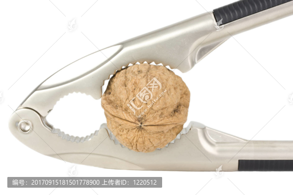 胡桃和核桃