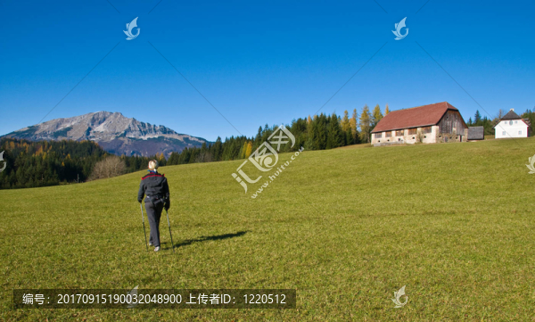 山