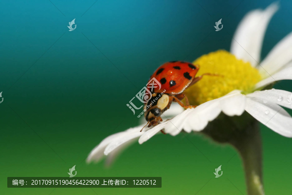 下面的世界…