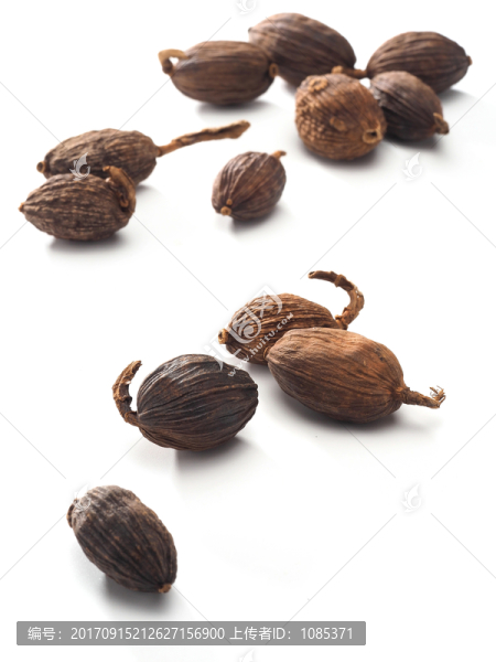 草果