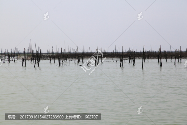 海養(yǎng)殖
