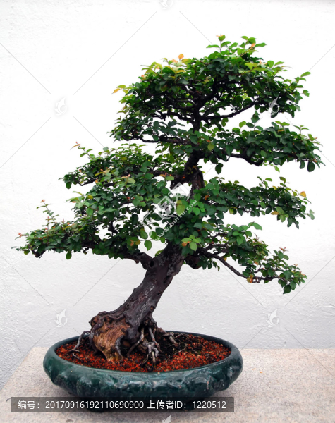 藝術(shù)