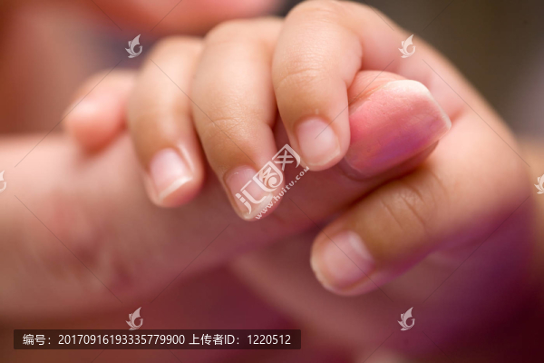 手