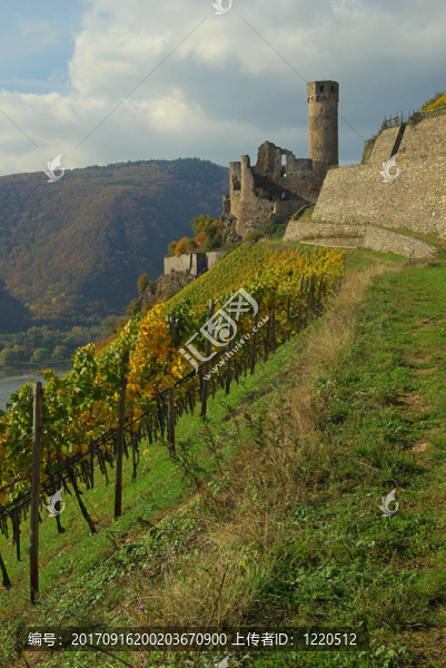 ehrenfels,03