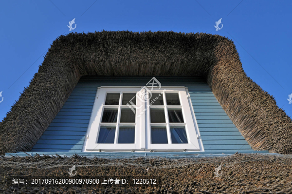 茅草屋頂