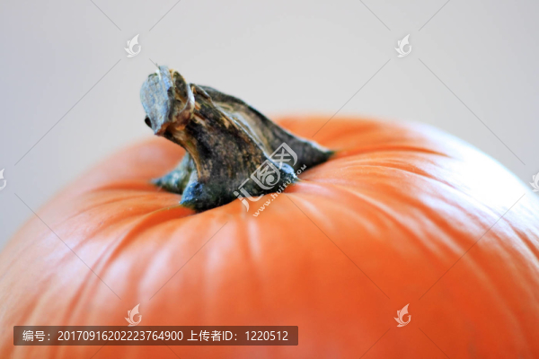 蔬菜