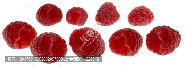 覆盆子