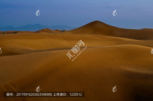 沙漠7