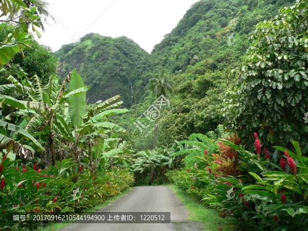 塔希提內(nèi)陸