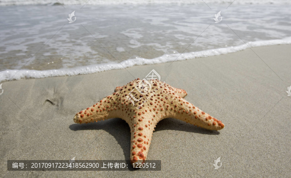 海灘
