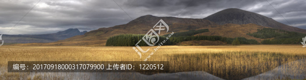 山