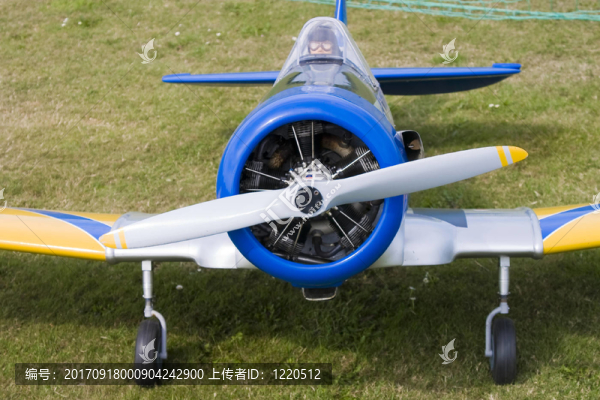 5型徑向發(fā)動機(jī)