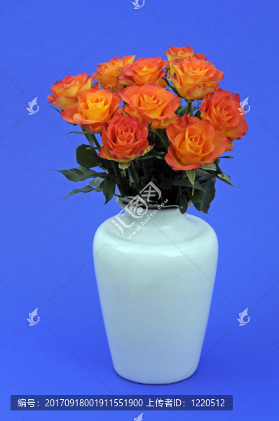 花瓶里的玫瑰花束