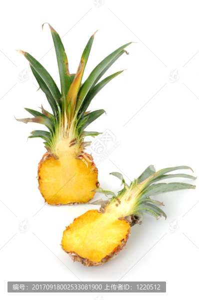 親愛的菠蘿