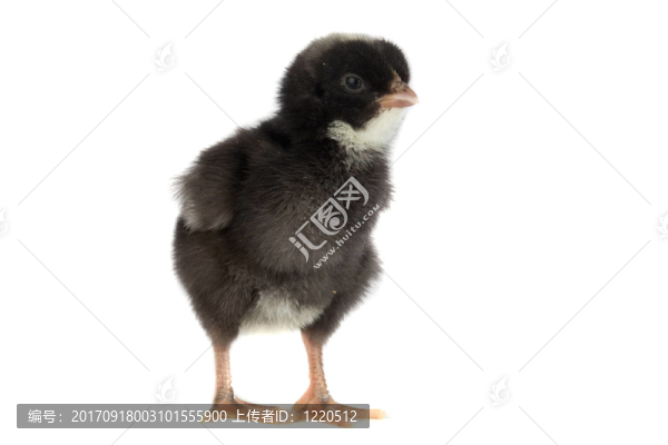黑色