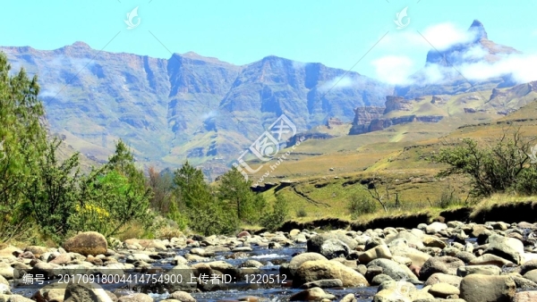 山