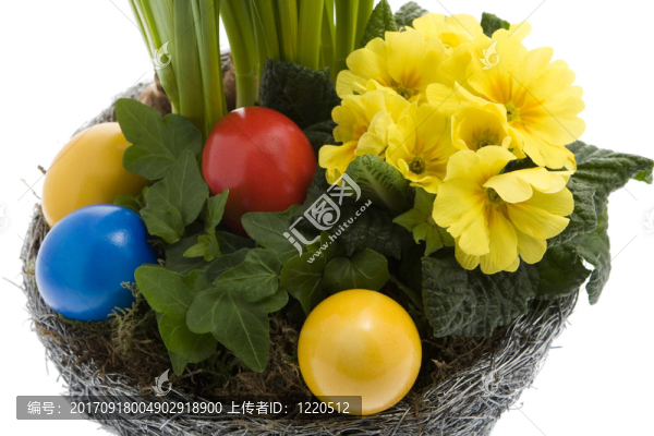 帶春花的復(fù)活節(jié)彩蛋
