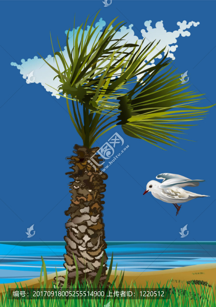 海上飛行中的海鷗