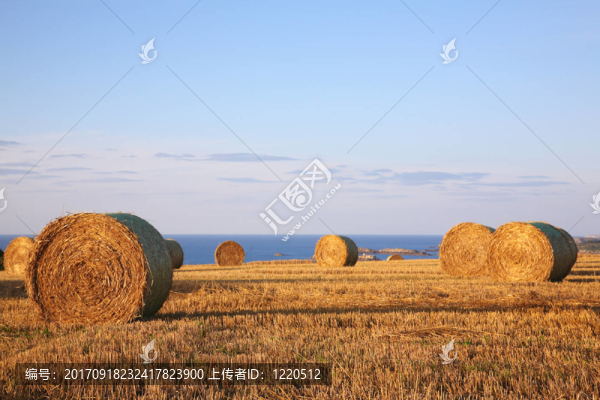 農(nóng)業(yè)
