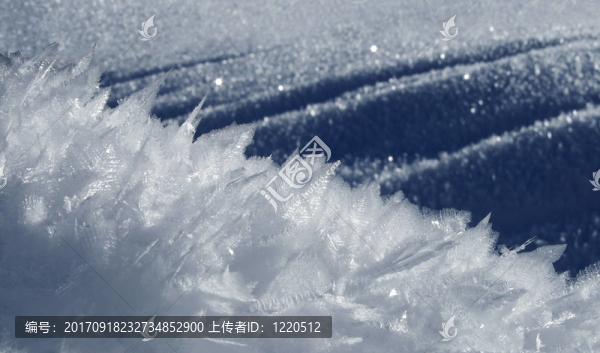 eiswelt