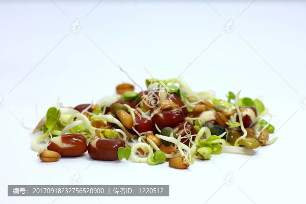新芽