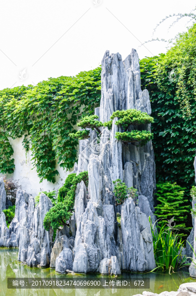 盆景