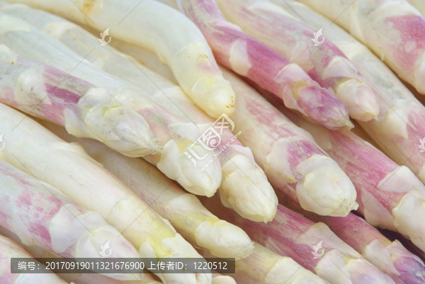 蔬菜