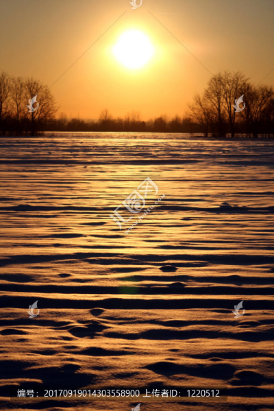 wintersonne