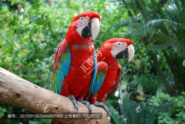 動物園