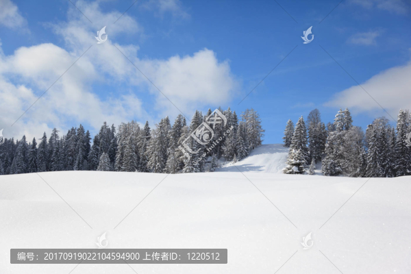 多雪的冬季景觀