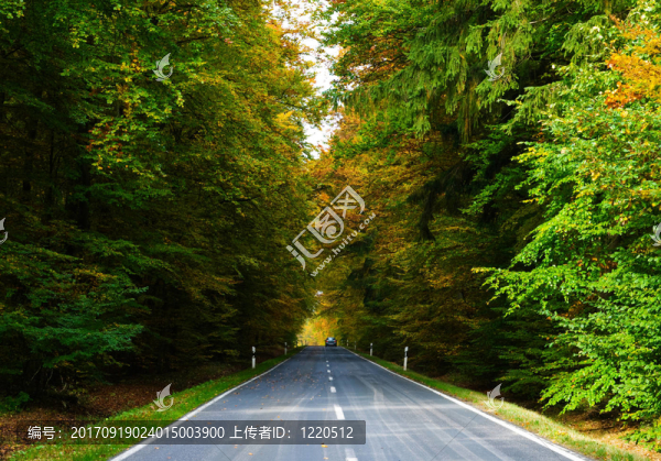 旅行