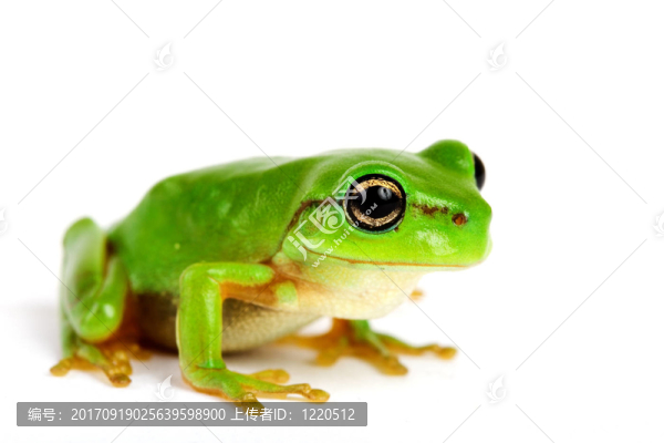 近