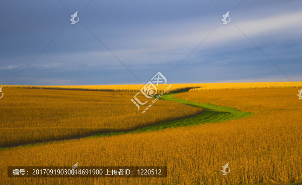 農(nóng)業(yè)