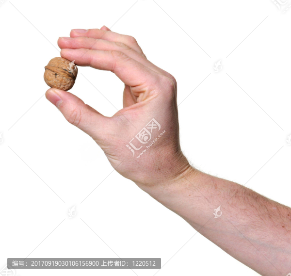 孤立