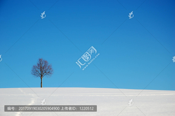 簡單的1