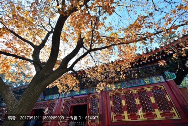 香山