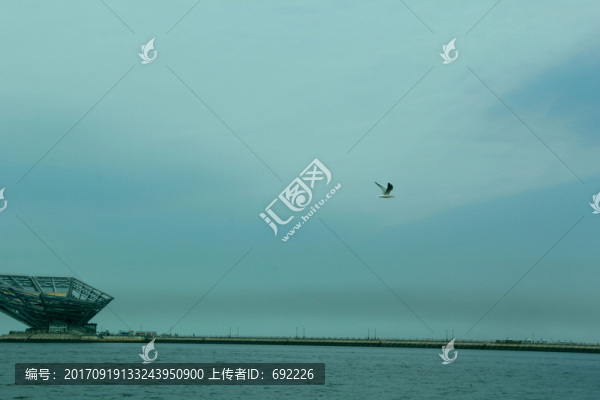 海鷗