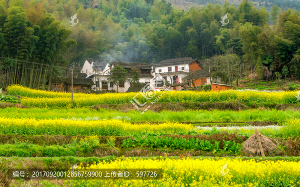 田園風光